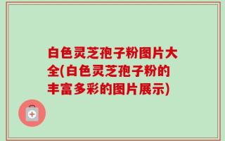 白色灵芝孢子粉图片大全(白色灵芝孢子粉的丰富多彩的图片展示)