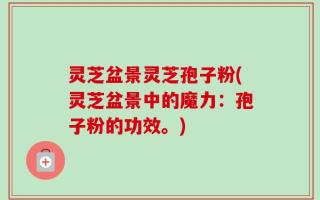 灵芝盆景灵芝孢子粉(灵芝盆景中的魔力：孢子粉的功效。)