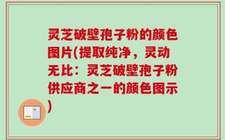 灵芝破壁孢子粉的颜色图片(提取纯净，灵动无比：灵芝破壁孢子粉供应商之一的颜色图示)