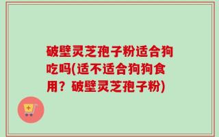 破壁灵芝孢子粉适合狗吃吗(适不适合狗狗食用？破壁灵芝孢子粉)