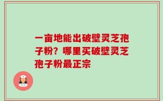 一亩地能出破壁灵芝孢子粉？哪里买破壁灵芝孢子粉最正宗