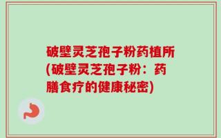 破壁灵芝孢子粉药植所(破壁灵芝孢子粉：药膳食疗的健康秘密)