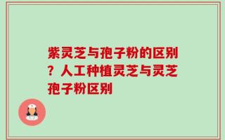 紫灵芝与孢子粉的区别？人工种植灵芝与灵芝孢子粉区别