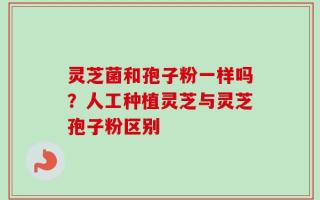 灵芝菌和孢子粉一样吗？人工种植灵芝与灵芝孢子粉区别