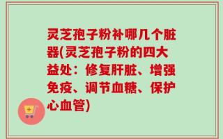 灵芝孢子粉补哪几个脏器(灵芝孢子粉的四大益处：修复肝脏、增强免疫、调节血糖、保护心血管)