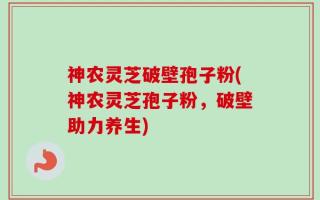 神农灵芝破壁孢子粉(神农灵芝孢子粉，破壁助力养生)