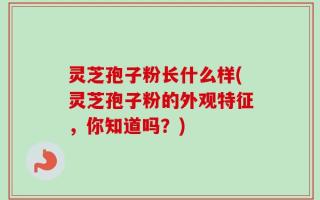 灵芝孢子粉长什么样(灵芝孢子粉的外观特征，你知道吗？)