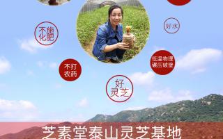 灵芝孢子粉哪里的好 呢？
