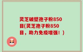 灵芝破壁孢子粉850目(灵芝孢子粉850目，助力免疫增强！)