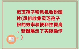 灵芝孢子粉风机收粉图片(风机收集灵芝孢子粉的效率和便利性提高，新图展示了实际操作。)