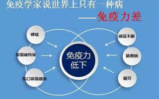 灵芝孢子粉有什么作用？免疫力低下怎么调理？可以吃灵芝孢子粉 提高免疫力 吗？