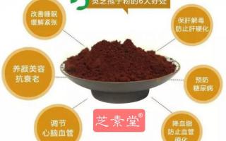 免疫力低下怎么调理？灵芝孢子粉怎样？
