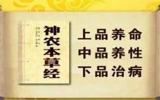 灵芝孢子粉有什么作用？吃灵芝孢子粉有用？