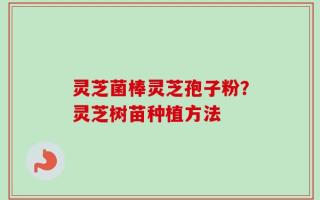 灵芝菌棒灵芝孢子粉？灵芝树苗种植方法