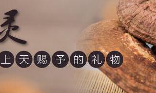 灵芝孢子粉的功用之缓解风湿痛