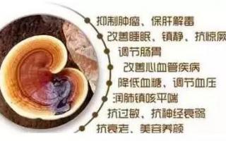 灵芝孢子粉的功用有哪些优势呢？