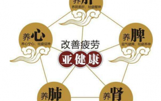免疫力低下怎么调理？身体出现亚健康如何提高免疫力？
