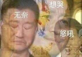 灵芝孢子粉的功用对神经衰弱有好处吗？