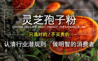 灵芝孢子粉价格和品牌有关系吗？