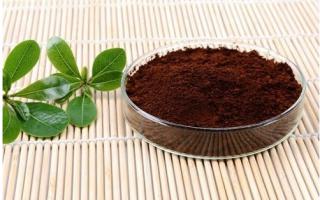 灵芝孢子粉的功用适合易过敏体质人群服用吗？