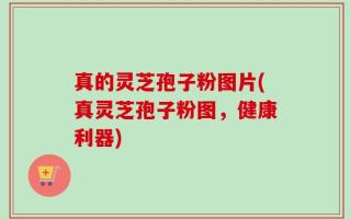 真的灵芝孢子粉图片(真灵芝孢子粉图，健康利器)