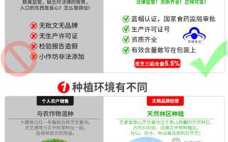 哪里的灵芝孢子粉正宗？泰山灵芝好吗？