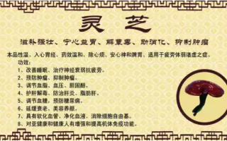 灵芝孢子粉的功用 除了抗肿瘤还有这些妙用