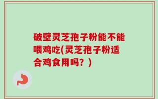 破壁灵芝孢子粉能不能喂鸡吃(灵芝孢子粉适合鸡食用吗？)
