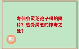 寿仙谷灵芝孢子粉的图片？感受灵芝的神奇之处？
