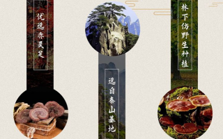灵芝孢子粉哪里的最好？怎么选择？