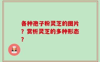 各种孢子粉灵芝的图片？赏析灵芝的多种形态？