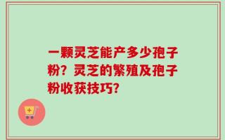 一颗灵芝能产多少孢子粉？灵芝的繁殖及孢子粉收获技巧？