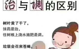 哪种灵芝孢子粉提高免疫力更好