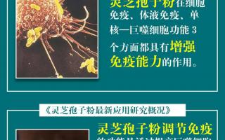 提高免疫力吃灵芝孢子粉有用吗?
