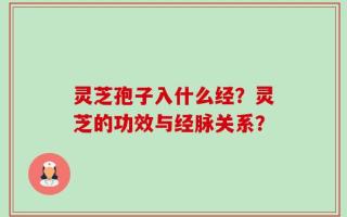 灵芝孢子入什么经？灵芝的功效与经脉关系？