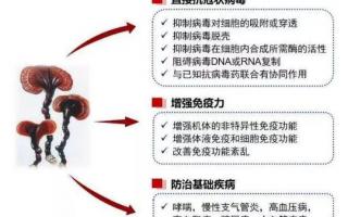 抗击疫情提高免疫力首选灵芝孢子粉