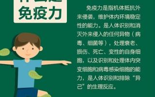 提高免疫力选择灵芝孢子粉还是维生素呢
