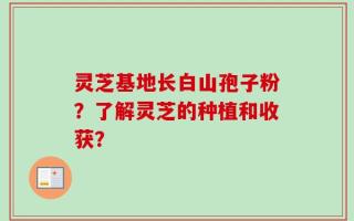 灵芝基地长白山孢子粉？了解灵芝的种植和收获？