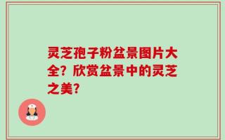 灵芝孢子粉盆景图片大全？欣赏盆景中的灵芝之美？