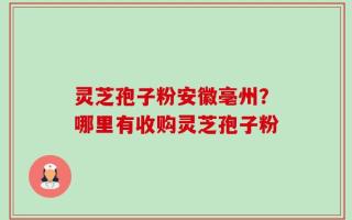 灵芝孢子粉安徽亳州？哪里有收购灵芝孢子粉