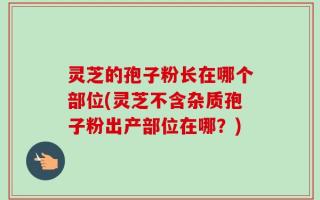 灵芝的孢子粉长在哪个部位(灵芝不含杂质孢子粉出产部位在哪？)