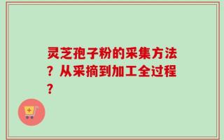 灵芝孢子粉的采集方法？从采摘到加工全过程？