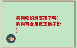 狗狗吃的灵芝孢子粉(狗狗可食用灵芝孢子粉)