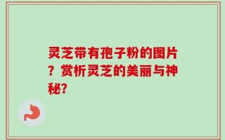 灵芝带有孢子粉的图片？赏析灵芝的美丽与神秘？