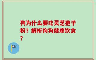 狗为什么要吃灵芝孢子粉？解析狗狗健康饮食？