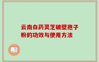 云南白药灵芝破壁孢子粉的功效与使用方法