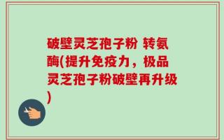 破壁灵芝孢子粉 转氨酶(提升免疫力，极品灵芝孢子粉破壁再升级)