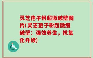灵芝孢子粉超微破壁图片(灵芝孢子粉超微细破壁：强效养生，抗氧化升级)