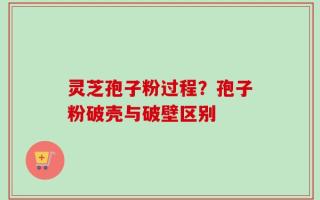 灵芝孢子粉过程？孢子粉破壳与破壁区别