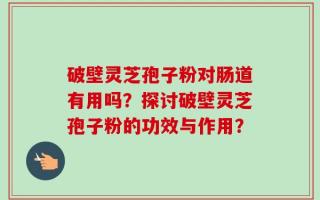 破壁灵芝孢子粉对肠道有用吗？探讨破壁灵芝孢子粉的功效与作用？